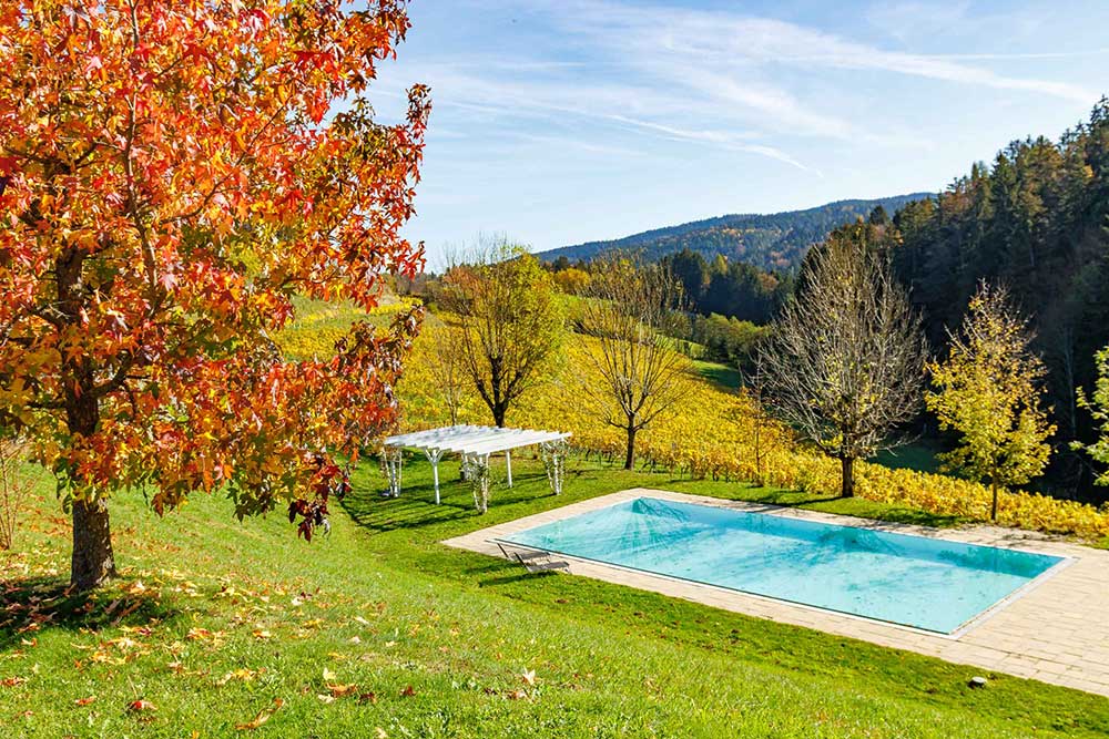 Winzerhotel am Gut Moser