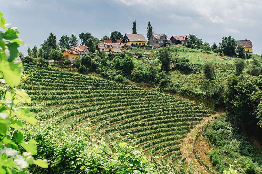 das kappel – wein.gut.hotel