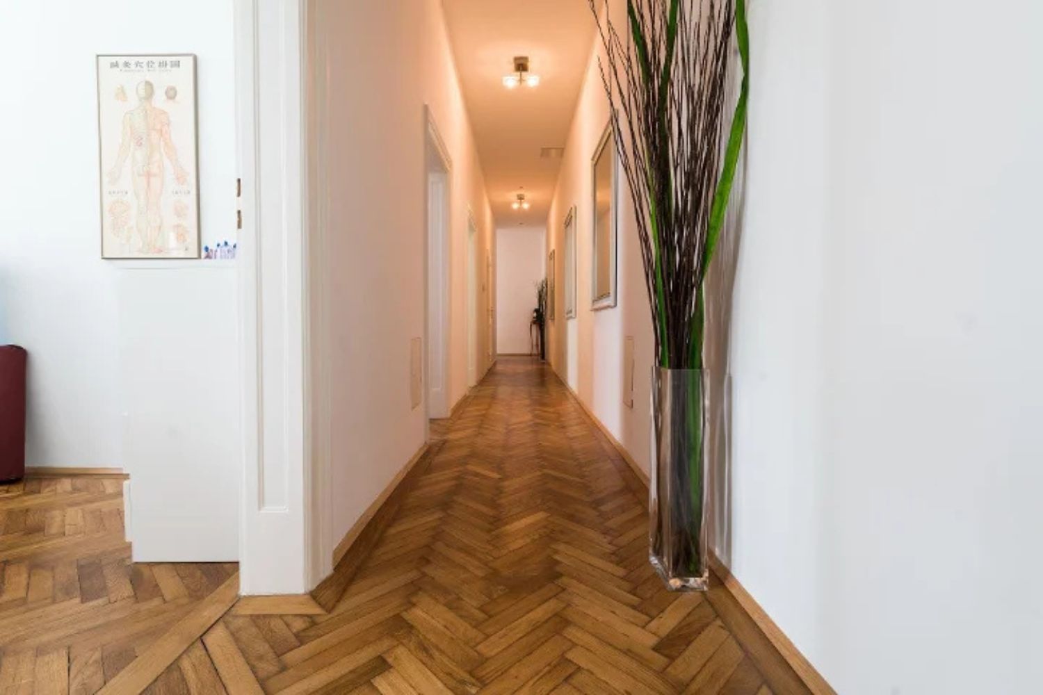 Vitalité Vienna