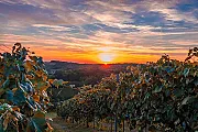 Hotel Panoramahof Loipersdorf ****