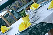 Pension Thermensonne ***