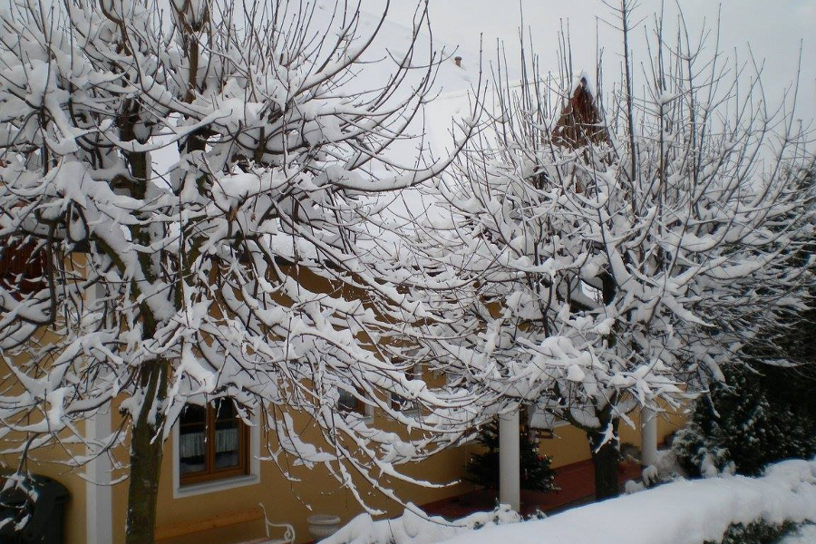 Pension Thermensonne ***