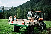 Familien-Landhotel Stern ****