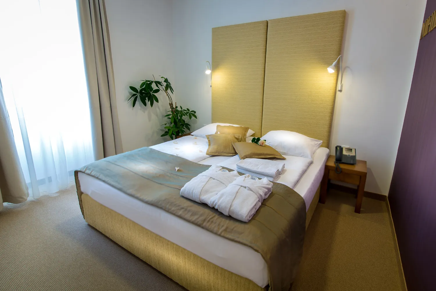 Hotel Zdravili&scaron;ki Dvor ****