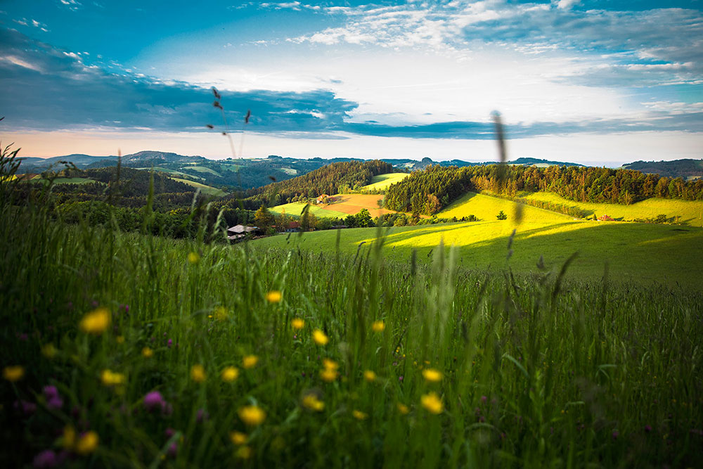 Region Bucklige Welt