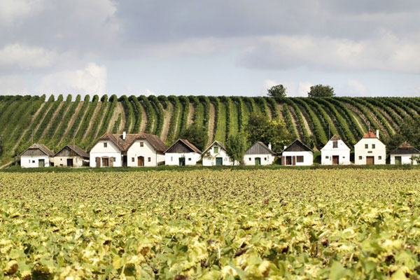 &copy; Weinviertel Tourismus / Wurnig